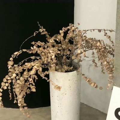 Furry插画细节提升兽圈社群